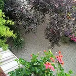 Guest house Ana Izola